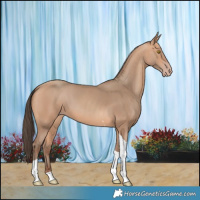 Horse Color:Amber Champagne Tobiano 
