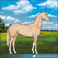 Horse Color:Gold Champagne Tobiano Rabicano 