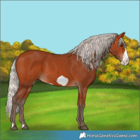 Horse Color:Silver Bay Frame