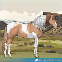 Horse Color:Gold Champagne Tobiano