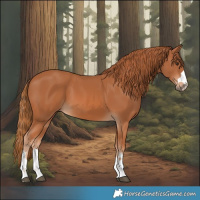 Horse Color:Chestnut 