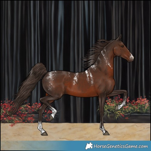 Horse Color:Powder White Liver Chestnut 