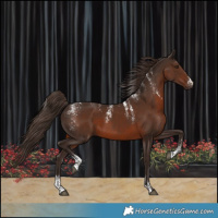 Horse Color:Powder White Liver Chestnut 
