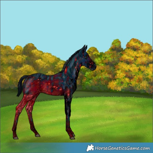 Horse Color:ERROR: UNKNOWN ANOMALY