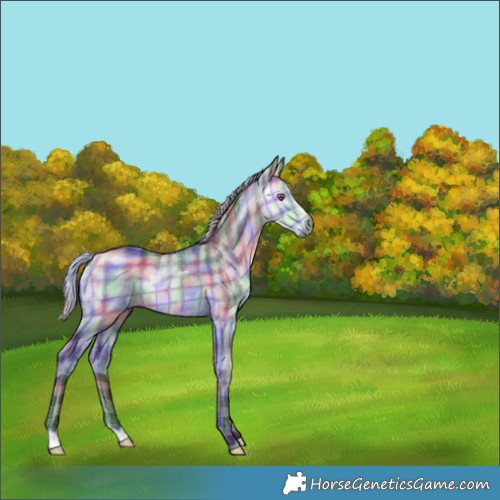 Horse Color:Nacre Plaid  Silver Buckskin Chinchilla 