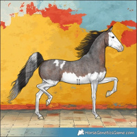 Horse Color:Brown Roan Splash Appaloosa 