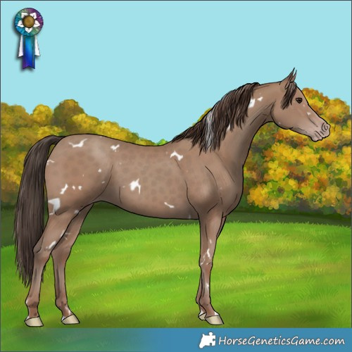 Horse Color:White Spotted Classic Champagne 