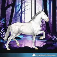 Horse Color:Chocolate Palomino Roan Pearl Dun Tobiano Blanket