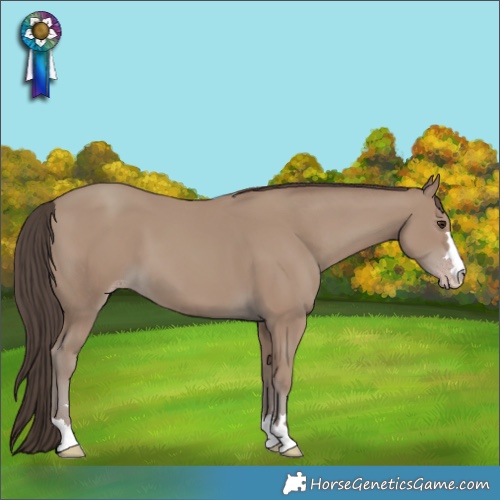Horse Color:Classic Champagne 