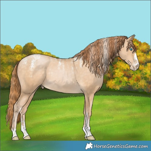 Horse Color:Powder White Buckskin Pearl Rabicano 