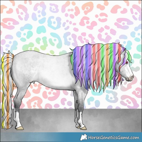 Horse Color:Painted Silver Brown Chinchilla Roan 