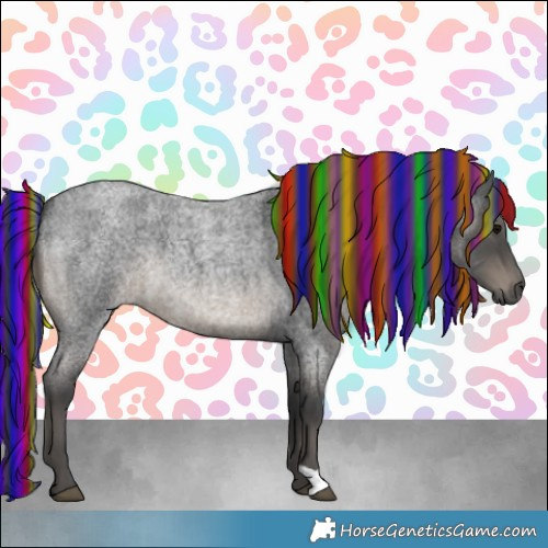 Horse Color:Painted Blue Roan 