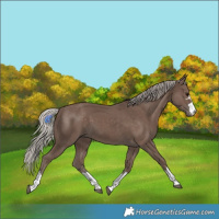 Horse Color:Silver Black 