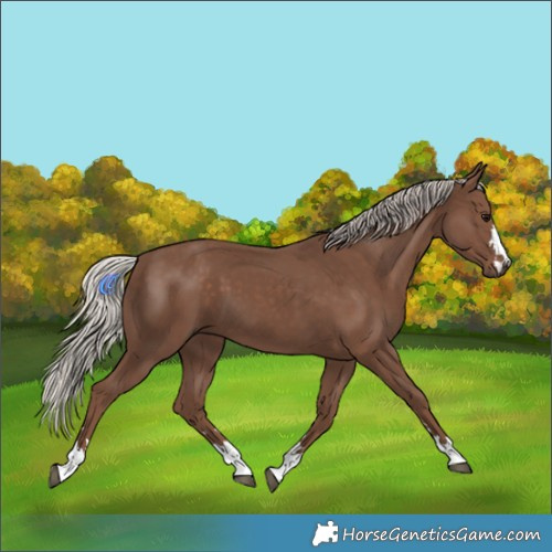 Horse Color:Silver Black