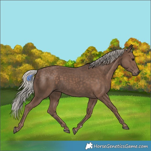 Horse Color:Silver Black 