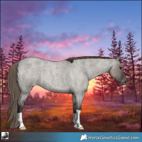Horse Color:Smoky Grullo Roan Varnish