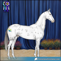 Horse Color:White Spotted Liver Chestnut Sabino 