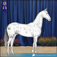 Horse Color:White Spotted Liver Chestnut Sabino 