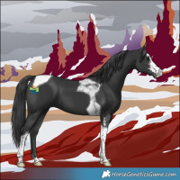 Horse Color:Black Sabino Tobiano