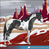 Horse Color:Black Sabino Tobiano