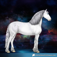 Horse Color:Watercolor Silver Brown Dun Sabino Splash Varnish 