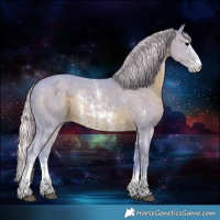 Horse Color:Watercolor Silver Black Sabino Varnish 