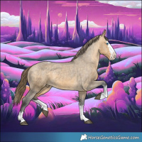 Horse Color:Buckskin Dun Splash Varnish