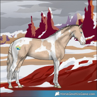 Horse Color:White Spotted Perlino Tobiano
