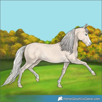 Horse Color:Cremello Rabicano 