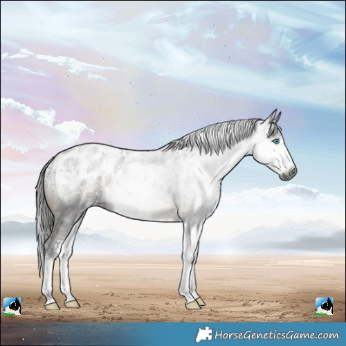 Horse Color:Powder White Gray Brown Splash Blanket 