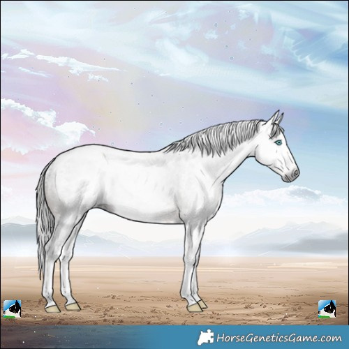 Horse Color:Powder White Gray Brown Splash Blanket 