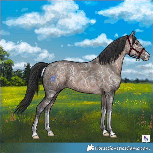 Horse Color:White Spotted Brown Ice Dun Rabicano 