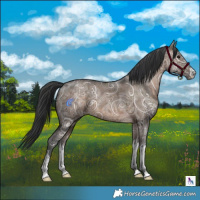 Horse Color:White Spotted Brown Ice Dun Rabicano 