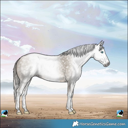 Horse Color:Gray White Spotted Buckskin Pearl Varnish 