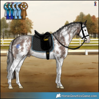Horse Color:Liver Chestnut Sabino Splash 
