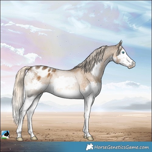 Horse Color:Chocolate Palomino Splash Varnish 