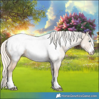 Horse Color:Cremello Snowcap 