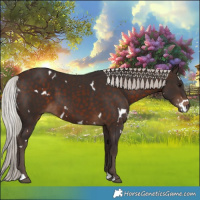 Horse Color:White Spotted Silver Brown 