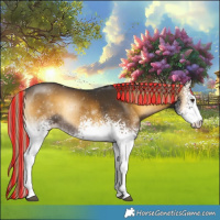 Horse Color:Painted White Spotted Chocolate Palomino Onyx Mushroom