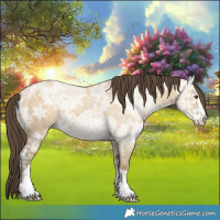 Horse Color:Classic Cream Champagne Ice Dun 