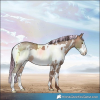 Horse Color:Painted White Spotted Sable Champagne Frame 