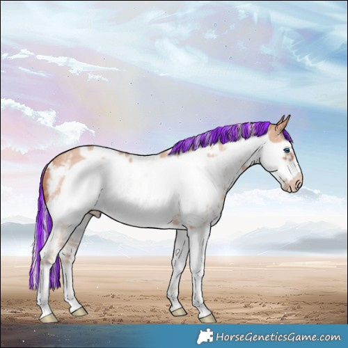 Horse Color:Painted White Spotted Silver Sable Champagne Sabino Frame 