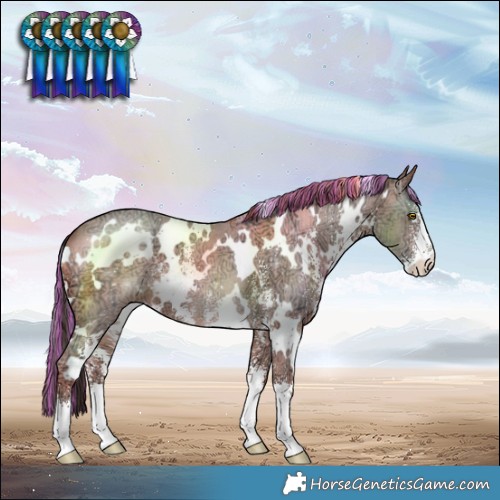 Horse Color:Painted White Spotted Sable Champagne Ice Sabino 
