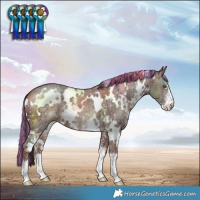 Horse Color:Painted White Spotted Sable Champagne Ice Sabino 