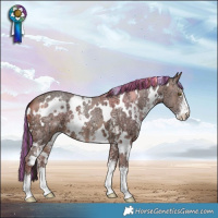 Horse Color:Painted White Spotted Sable Champagne Ice Sabino 