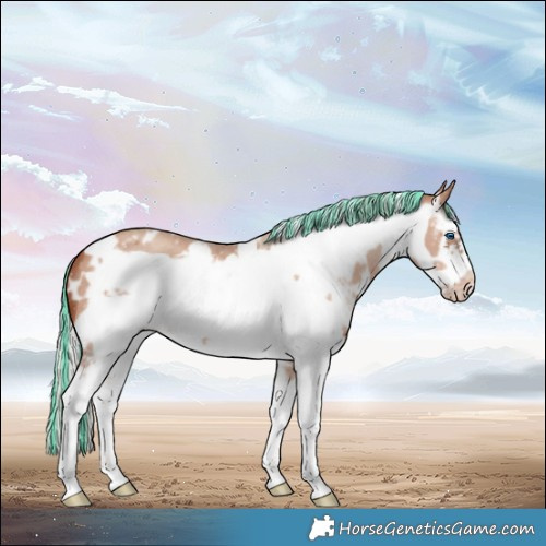 Horse Color:Painted White Spotted Silver Sable Champagne Sabino Frame 