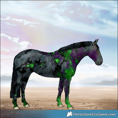 Horse Color:ERROR: UNKNOWN ANOMALY