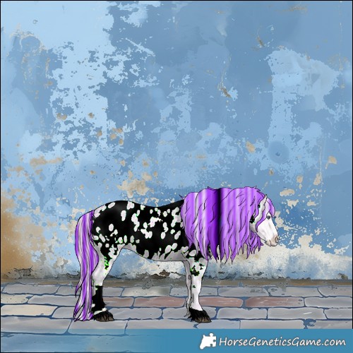 Horse Color:Painted Watercolor White Spotted Liver Chestnut Chinchilla Ice Appaloosa 