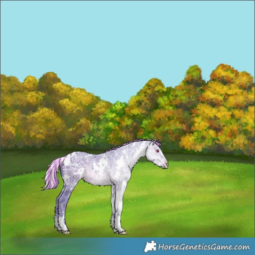 Horse Color:Painted Watercolor White Spotted Silver Brown Chinchilla Ice 