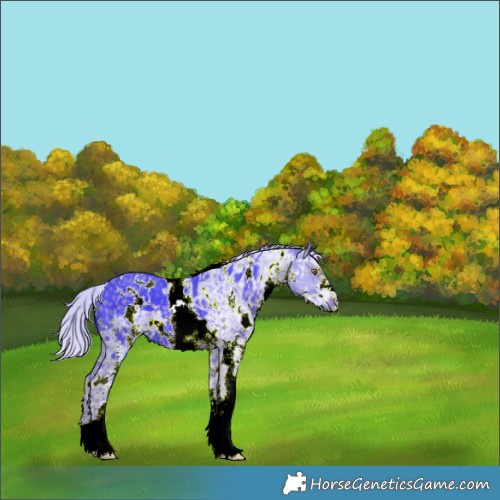 Horse Color:Watercolor White Spotted Silver Black Chinchilla Ice 